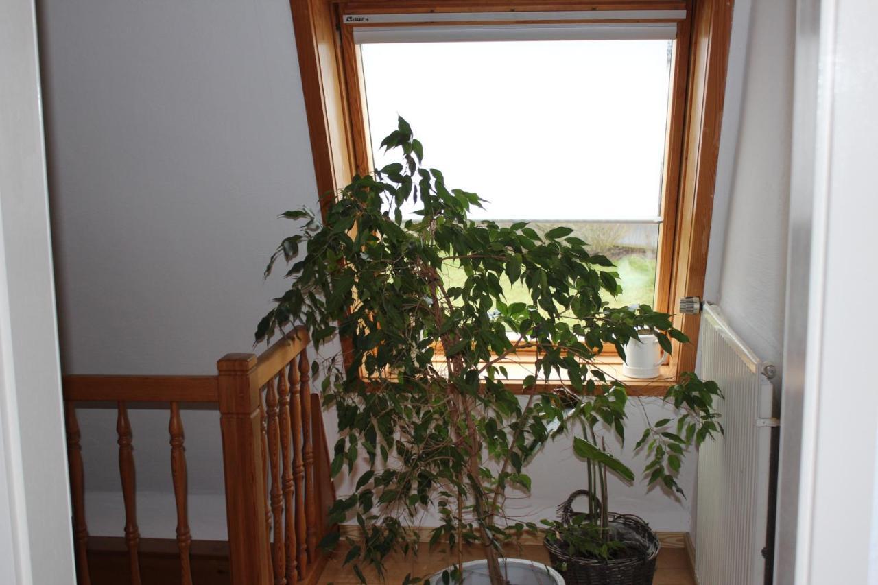 Ferienwohnung Nett 布兰肯海姆 外观 照片